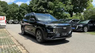 Geely Okavango L 2024 2.0TD DCT Modelo insignia exterior foto 3