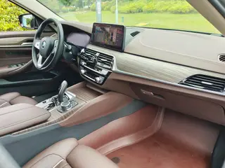 BMW 5 Series 2021 Restyling 530Li Premium Class Luxury Set exterior photo 10