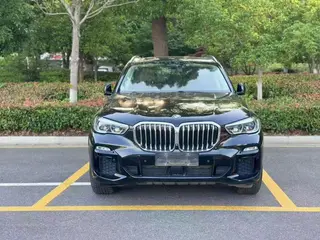BMW X5 2019 xDrive40i Premium Class M Sports suit exterior photo 2