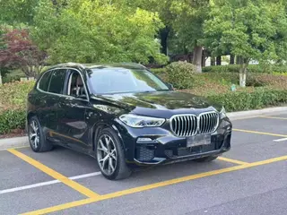BMW X5 2019 xDrive40i Premium Class M Sports suit exterior photo 3