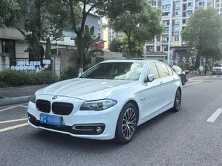 BMW 5 Series 2014 525Li Luxury Design Set