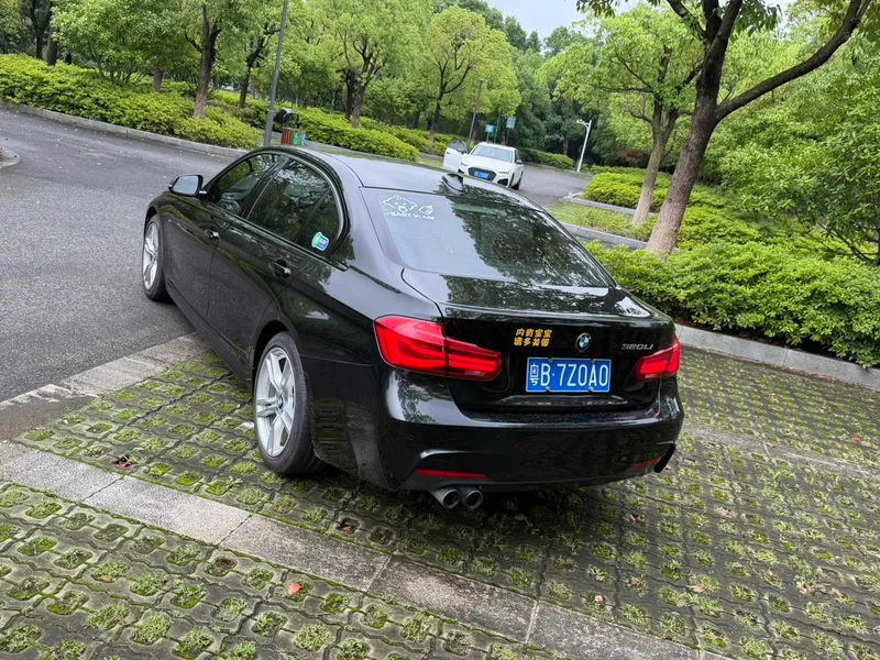 BMW 3 Series 2019 320Li M Luxury Set exterior photo 4