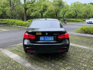 BMW 3 Series 2019 320Li M Luxury Set exterior photo 5