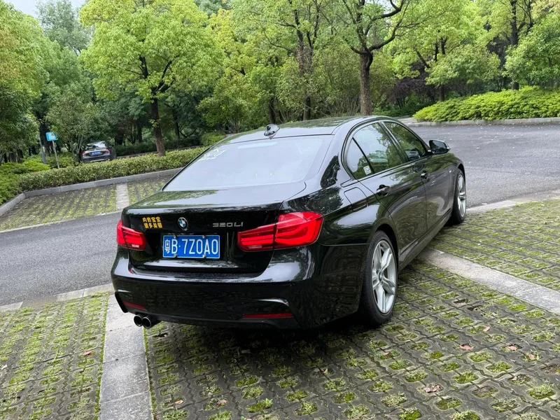 BMW 3 Series 2019 320Li M Luxury Set exterior photo 6