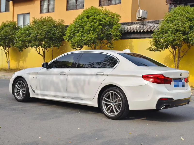 BMW 5 Series 2020 525Li M Conjunto deportivo interior foto 7