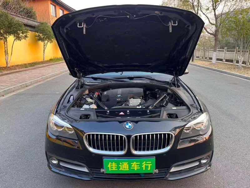 BMW 5 Series 2014 520Li Style élégant intérieur photo 16