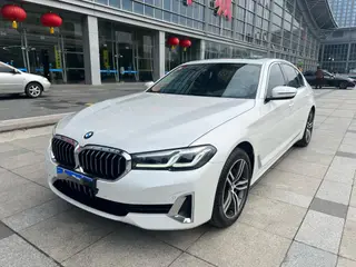 BMW 5 Series 2021 Restyling 530Li Leading Type Luxury Set