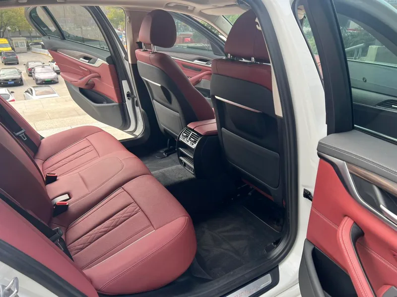 BMW 5 Series 2021 Restyling 530Li Leading Type Luxury Set interior photo 11