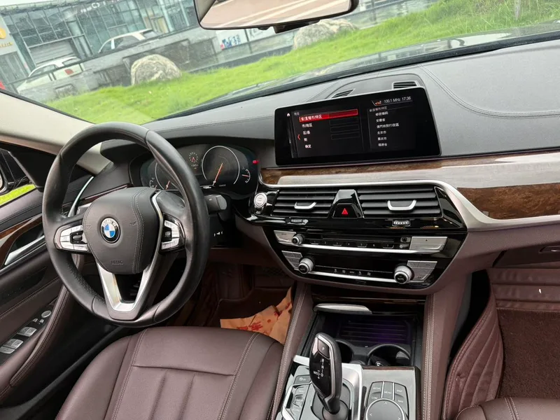 BMW 5 Series 2019 525Li Luxury Set interior photo 19