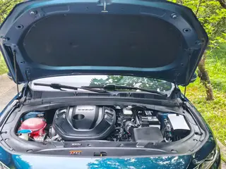Geely Preface 2023 2.0T Solo esta versión verde interior foto 18