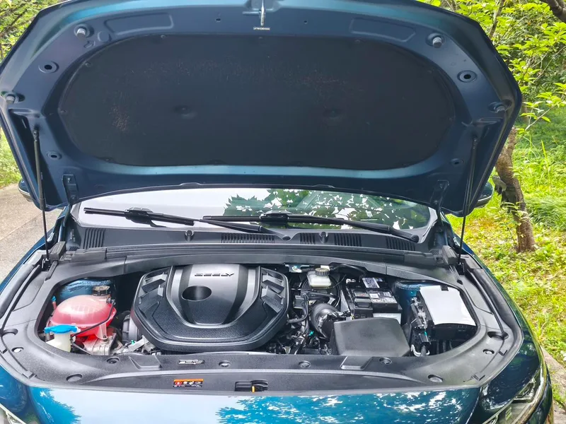 Geely Preface 2023 2.0T Solo esta versión verde interior foto 18