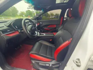 Geely Binrui 2020 1.4T CVT Asian Games edition interior photo 9