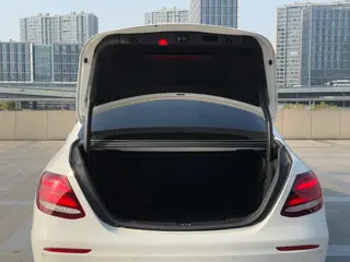 Mercedes-Benz E-Class 2019 E 300 L Sports fashion type exterior photo 8