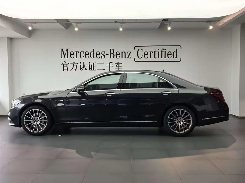 Mercedes-Benz S-Class 2019 S 350 L Honorable Zhenzang Edition exterior photo 6