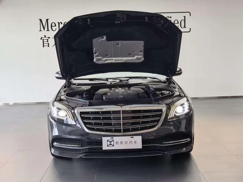 Mercedes-Benz S-Class 2019 S 350 L Honorable Zhenzang Edition interior photo 8