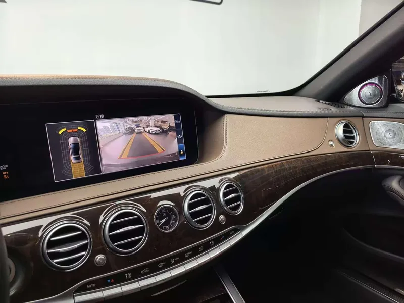 Mercedes-Benz S-Class 2019 S 350 L Honorable Zhenzang Edition interior photo 10