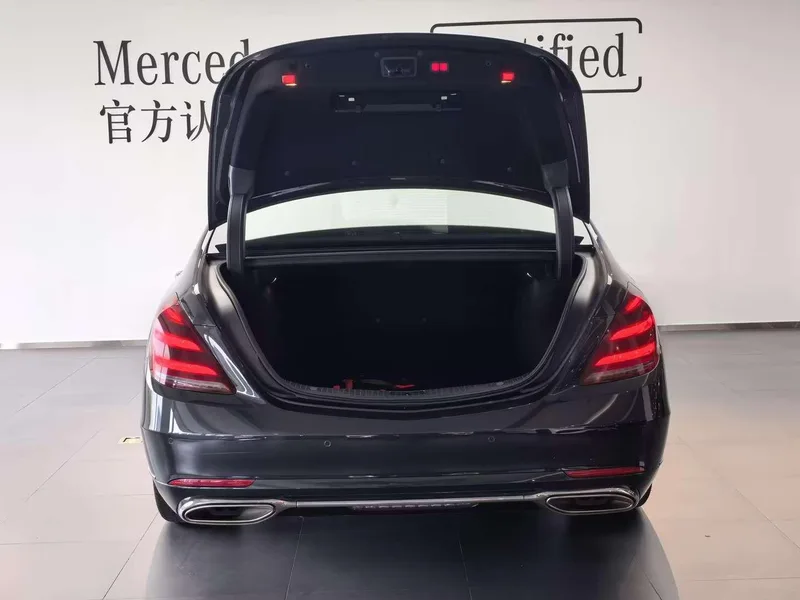 Mercedes-Benz S-Class 2019 S 350 L Honorable Zhenzang Edition interior photo 11