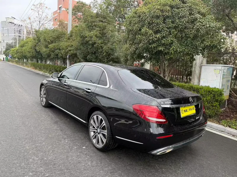 Mercedes-Benz E-Class 2016 E 300 L Type de luxe extérieur photo 5