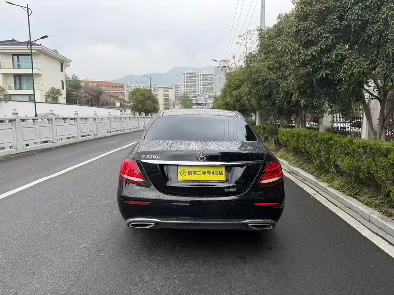 Mercedes-Benz E-Class 2016 E 300 L Type de luxe extérieur photo 6