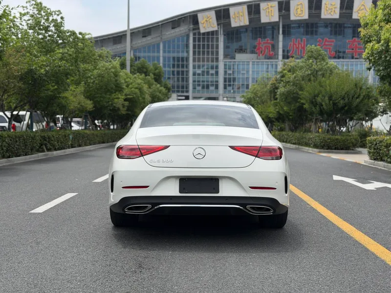 Mercedes-Benz CLS 2020 CLS 300 Luxury type exterior photo 5