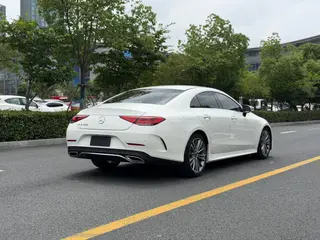 Mercedes-Benz CLS 2020 CLS 300 Luxury type exterior photo 6