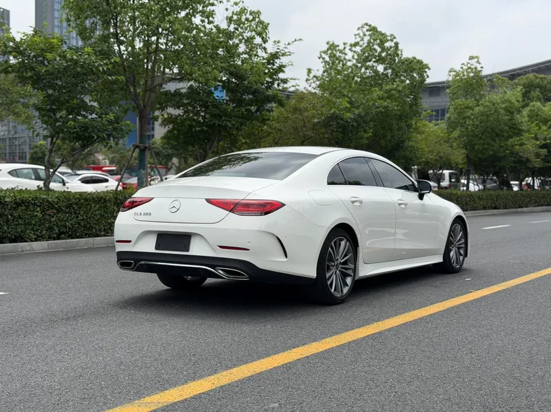 Mercedes-Benz CLS 2020 CLS 300 Luxury type exterior photo 6