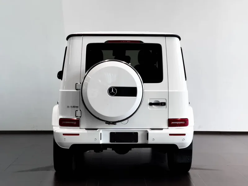 Mercedes-Benz G-Class 2020 G 350 interior photo 12