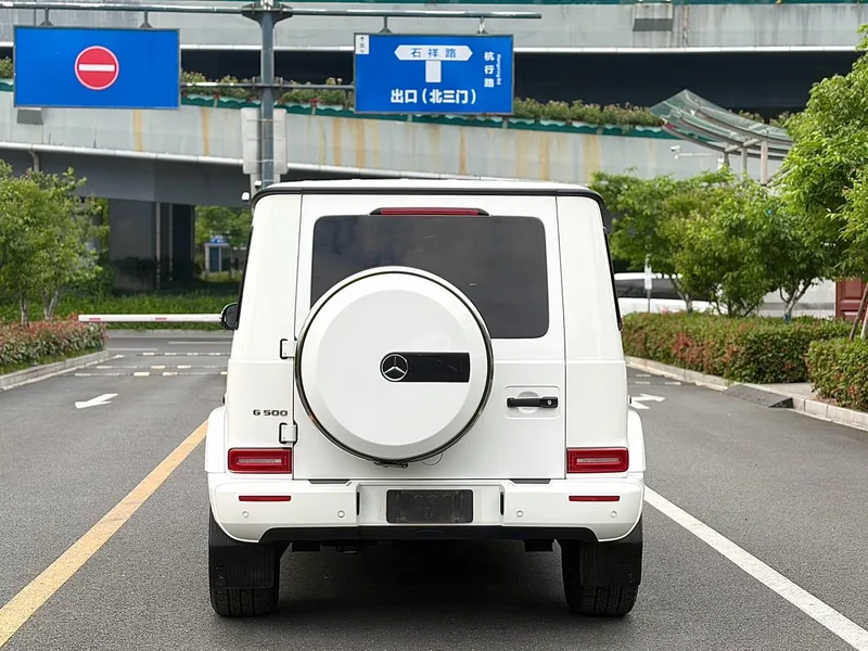 Mercedes-Benz G-Class 2020 G 350 extérieur photo 4