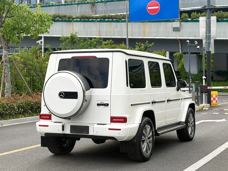 Mercedes-Benz G-Class 2020 G 350 extérieur photo 5