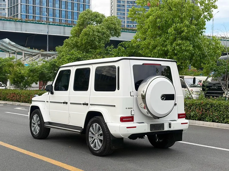 Mercedes-Benz G-Class 2020 G 350 extérieur photo 6