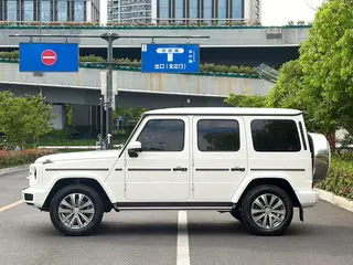Mercedes-Benz G-Class 2020 G 350 extérieur photo 7