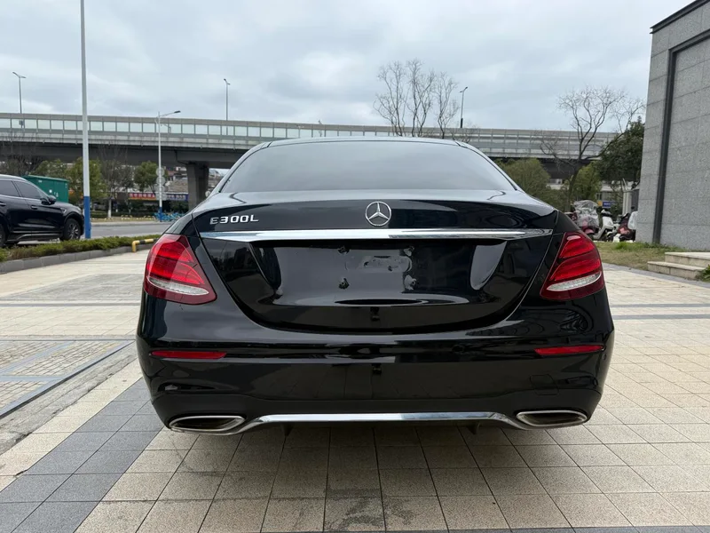 Mercedes-Benz E-Class 2019 E 300 L Fashionable interior photo 15