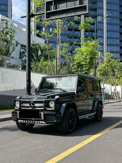 Mercedes-Benz Mercedes-AMG G-Class 2016 AMG G 63 Edition 463 exterior photo 1
