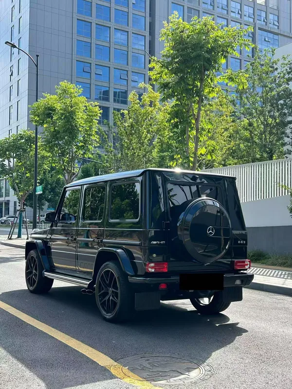 Mercedes-Benz Mercedes-AMG G-Class 2016 AMG G 63 Edition 463 exterior photo 3