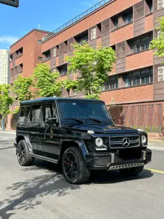 Mercedes-Benz Mercedes-AMG G-Class 2016 AMG G 63 Edition 463 exterior photo 4