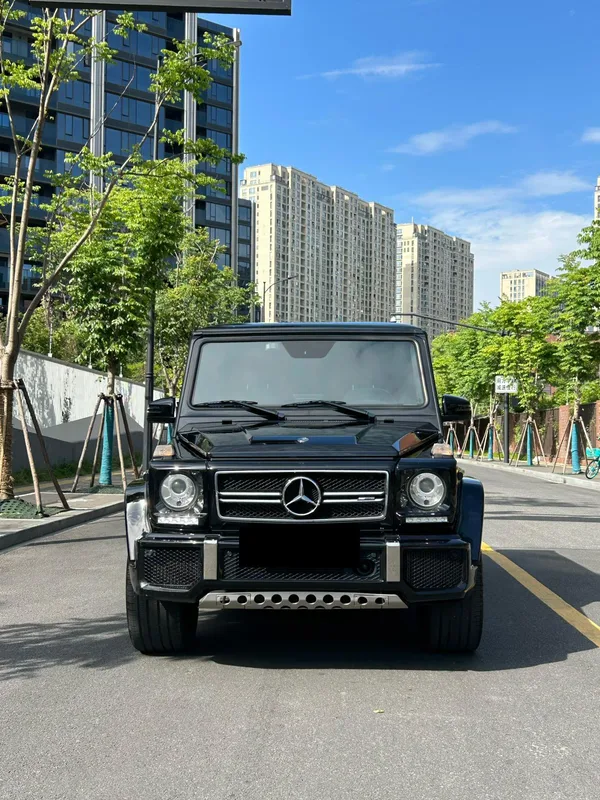 Mercedes-Benz Mercedes-AMG G-Class 2016 AMG G 63 Edition 463 exterior photo 5