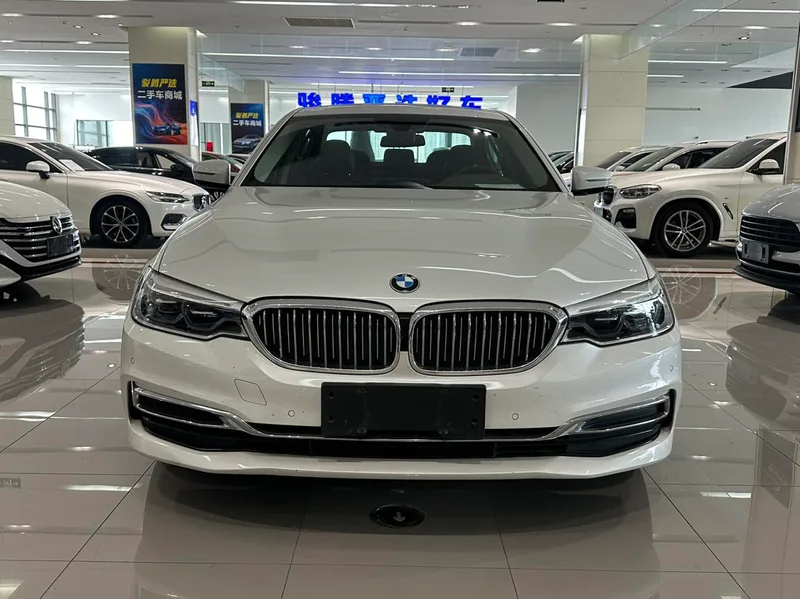 BMW 5 Series 2020 530Li Leading Type Luxury Set exterior photo 2
