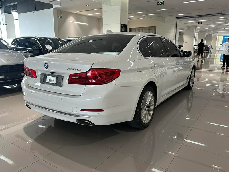 BMW 5 Series 2020 530Li Leading Type Luxury Set exterior photo 5