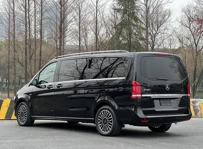 Mercedes-Benz V-Class 2017 V 260 L Distinguished extended version exterior photo 5
