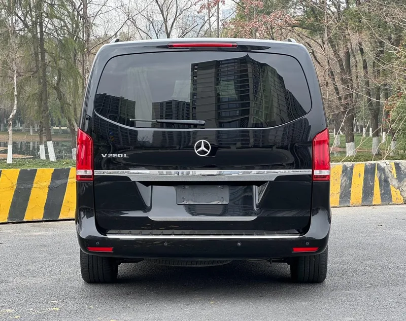 Mercedes-Benz V-Class 2017 V 260 L Distinguished extended version exterior photo 6