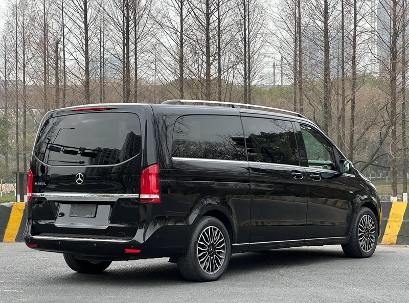 Mercedes-Benz V-Class 2017 V 260 L Distinguished extended version exterior photo 7
