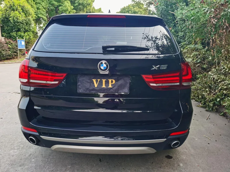 BMW X5 2017 xDrive35i Leading Type exterior photo 5