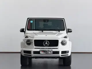 Mercedes-Benz G-Class 2020 G 350 exterior photo 2