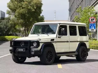 Mercedes-Benz G-Class 2010 G 500 exterior photo 1
