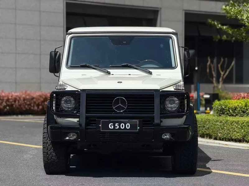Mercedes-Benz G-Class 2010 G 500 exterior photo 2