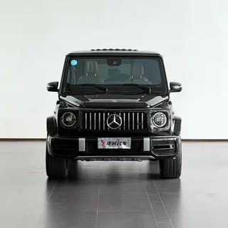 Mercedes-Benz G-Class 2022 G 350 exterior photo 2