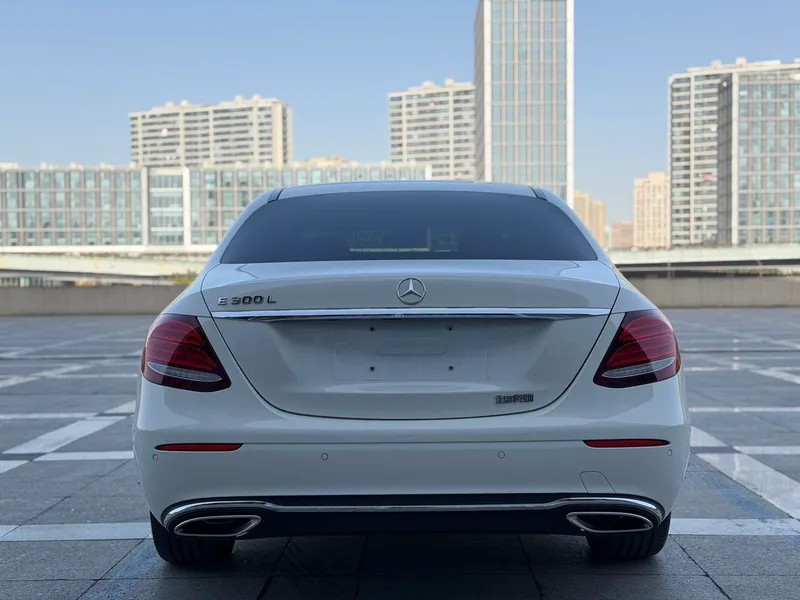 Mercedes-Benz E-Class 2020 E 300 L Люксовый экстерьер фото 7