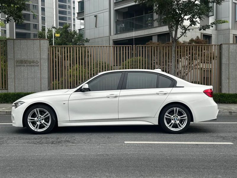 BMW 3 Series 2019 320Li M Luxury Set exterior photo 4