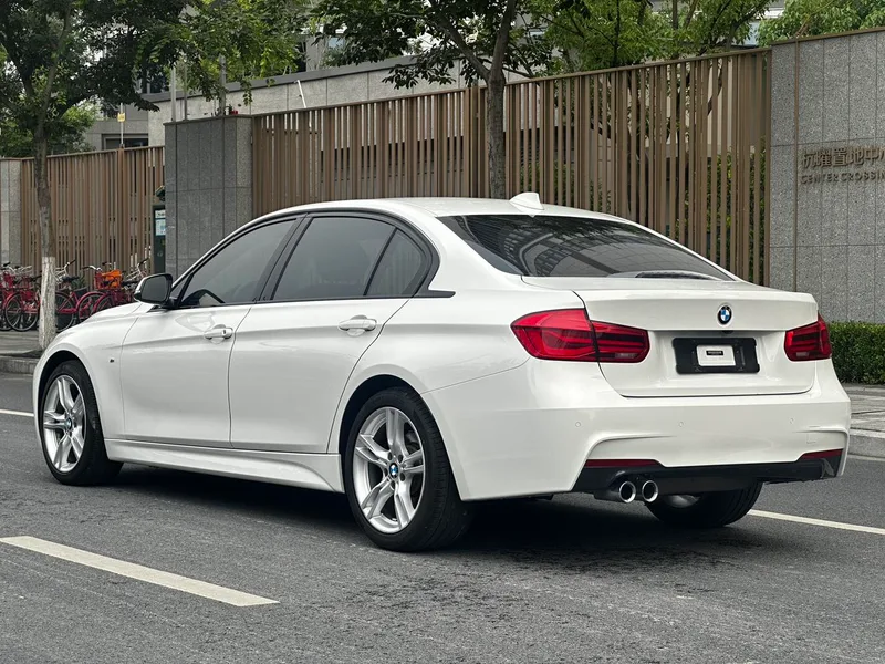 BMW 3 Series 2019 320Li M Luxury Set exterior photo 7