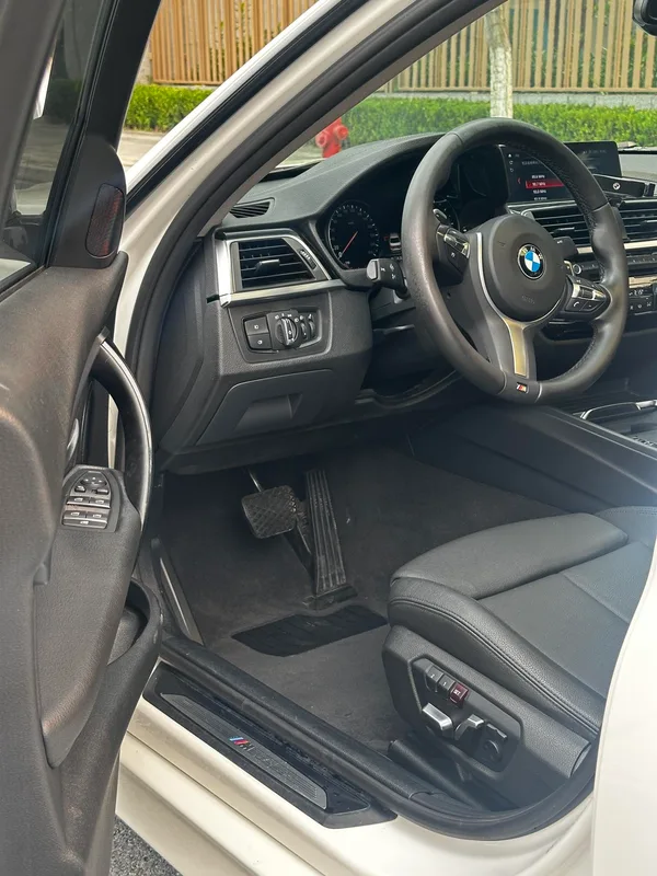 BMW 3 Series 2019 320Li M Luxury Set exterior photo 10